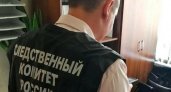 Родная кровь: кировчанин убил собственную мать