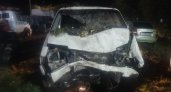 В Чепецке пьяный водитель врезался на иномарке в дерево