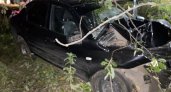 В Кирово-Чепецке и районе в авариях пострадали 15 детей