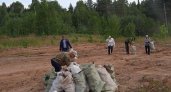 Рядом с Кирово-Чепецком нашли более 55 тонн мусора