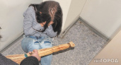 В Кировской области отчим больше года избивал 12-летнюю падчерицу