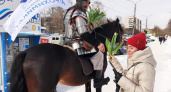 Вятский воевода поздравил чепчанок с 8 Марта верхом на коне: фоторепортаж
