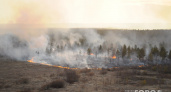 В Кировской области произошло шесть лесных пожаров за один день