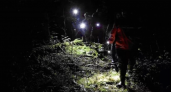 Пропавшая жительница Кировской области найдена погибшей