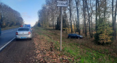 В Кирово-Чепецком районе водитель протаранил дерево