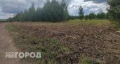 Хозяина земель в Кирово-Чепецком районе наказали за борщевик на участке