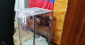 Результаты выборов по Кировской области не совпали с предварительными итогами по стране