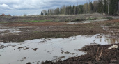 Областное министерство экологии отреагировало на сброс нечистот в реку Просницу