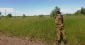 Россельхознадзор обнаружил в Кирово-Чепецком районе заброшенные сельхозучастки