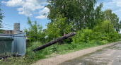 В Кировской области ветер повалил деревья