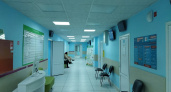 В Кировской области диагностировано 16 случаев клещевого энцефалита за неделю