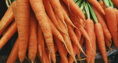 Морковь сразу пойдёт в рост: в начале июля полейте грядку этим раствором — первый шаг к богатому урожаю
