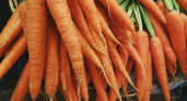 Морковь сразу пойдет в рост: в начале июля полейте этим раствором – первый шаг к богатому урожаю