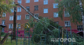 В Кирово-Чепецке в одном из дворов от ветра сломалось дерево