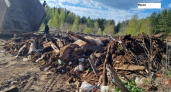 В Кирово-Чепецком районе избавились от многолетней свалки