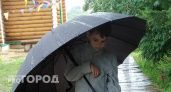 Дожди днями напролет: какой будет погода в Кирово-Чепецке 5-7 августа