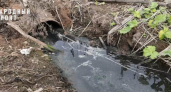 Грязный водоем в Кирово-Чепецком районе проверило министерство охраны окружающей среды 