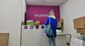 Прекращение работы с 10 декабря: Wildberries и Ozon приняли новое решение для всех россиян