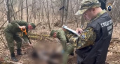 В лесах Кировской области нашли закопанный труп пропавшего жителя Удмуртии