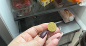 По совету бабушки теперь всегда кладу монетку в холодильник: простое действие убережет от серьезных отравлений