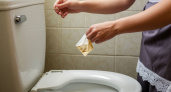 Уходя их дома, всегда закидываю чайный пакетик в унитаз - волшебный совет опытной горничной