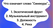 Вопрос по русскому языку с подвохом: что значит "синекура"? 95% россиян точно ошибутся, а вы уверены в своих знаниях?