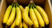 Все стало понятно: зачем продавцы "Магнитов" и "Пятёрочек" забирают себе из ящиков с бананами маленькие едва незаметные пакетики