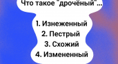 Словарный запас как у Даля? Отгадайте, что значит "дрочёный"! Вы готовы к вызову?