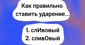  Слово "сливовый" — где вы поставите ударение? Вашим учителям русского языка будет стыдно, если вы не найдете правильный ответ