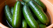 5 лавровых листов – и огурцы плодоносят как не в себя: свежие овощи с июня и до октября