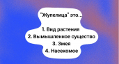 Что такое "жупелица": если у вас нет точного ответа, доверьтесь "шестому чувству" — какая версия правильная?