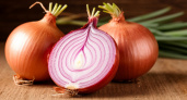 С 20 июня для пожелтевшего лука – эффективный рецепт: соединяем 4 компонента – и получаем богатый урожай