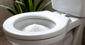 Она бросила соль в унитаз и не поверила своим глазам! Секрет, о котором молчат клининговые компании