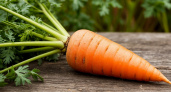 Применяю этот метод к моркови в середине лета: получается огромная и сладкая словно нектар