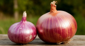Луковица размером с 2 кулака: питаем лук в середине лета, и он порадует исключительным урожаем