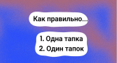 Тест отсечет безграмотных — "одна тапка" или "один тапок": какой вариант правильный в русском языке?