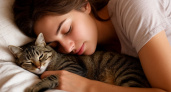 Почему вредно спать с кошкой: она незаметно укорачивает вам жизнь