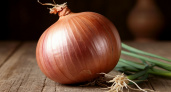 Луковица размером с кулак: правильное питание лука в июле даст щедрый урожай