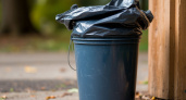 Мусорные мешки - пережиток прошлого: дорого стоят и постоянно рвутся - нашла им бесплатную замену (способ известен еще со времен СССР)