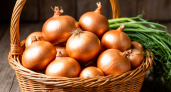 Лук будет храниться целый год! Как и когда в 2025 году убирать урожай по лунному календарю