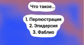  Три слова, которые звучат неприлично, но имеют приличный смысл — 95% тех, кто это слышит, краснеют от смущения