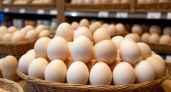 Почему на прилавках вы не увидите гусиные, утиные и индюшиные яйца? Объясняю просто