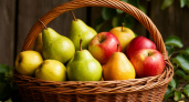 Как использовать опавшие яблоки и груши: пять полезных способов от агронома