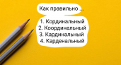 Если даже "двоечник" почти справился, то вам точно должно быть под силу: найдите единственно верный вариант в этом тесте на грамотность