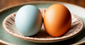 Почему яйца разного цвета и есть ли между ними разница?