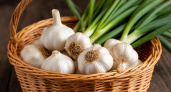 Перестаньте сажать чеснок как все: простой способ получить головки втрое крупнее