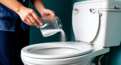 Зачем немецкие хозяйки сыплют в унитаз соль перед приходом гостей