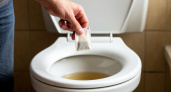 Уходя их дома, закидываю чайный пакетик в унитаз - волшебный совет знакомой горничной