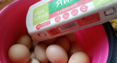 Мыть или не мыть? Всё, что нужно знать о куриных яйцах и их обработке