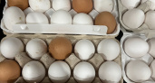 Какие яйца лучше: коричневые или белые? Разбор мифов от зоотехника